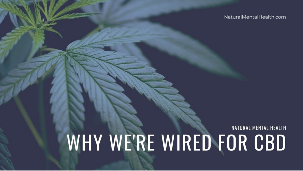 Why We're Wired for CBD (and THC)